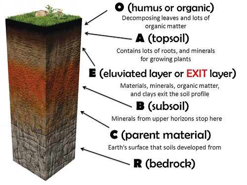 Illustration Of Soil Forming