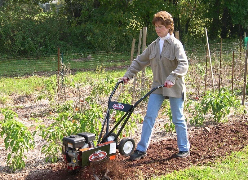 Image of Rear tine garden tiller being used to remove weeds