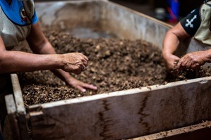 The Best Garden Soil for a Raised Garden Bed: Healthy Soil Equals