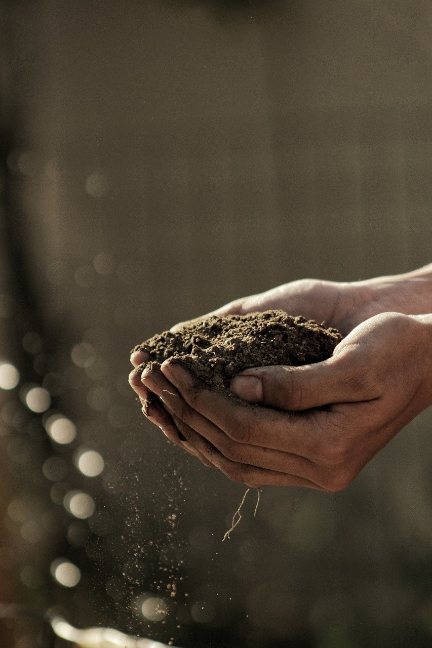 garden soil image