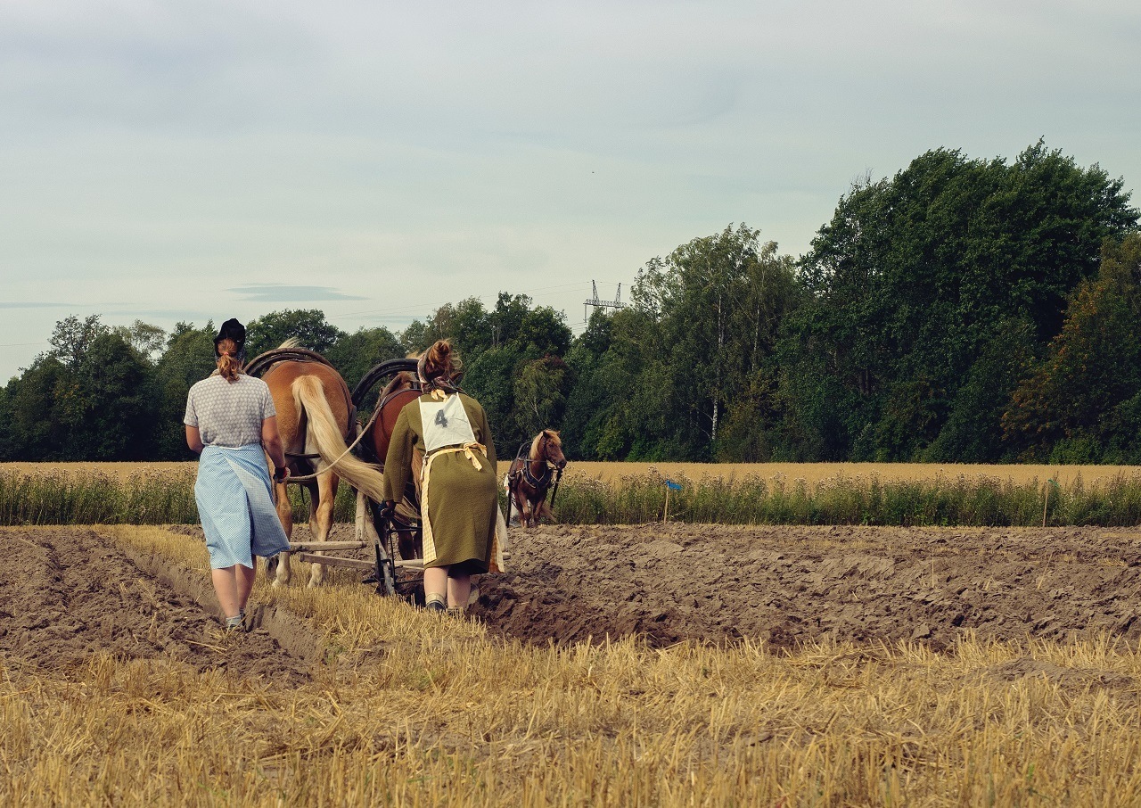 is-tilling-bad-frequent-tillage-and-its-impact-on-soil-quality